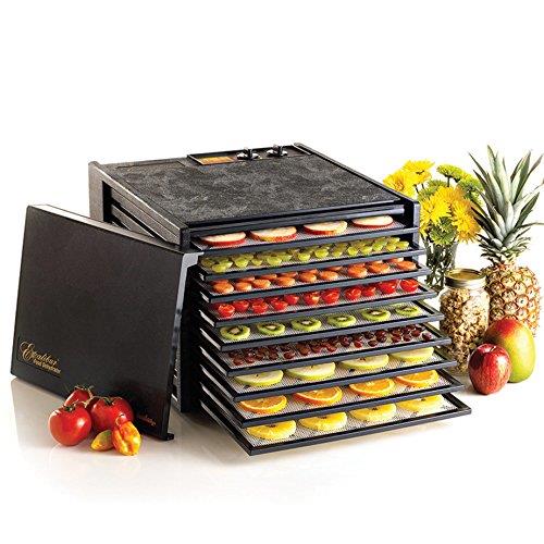 Best Foods to dehydrate, for Snacks that you and your kids will love
